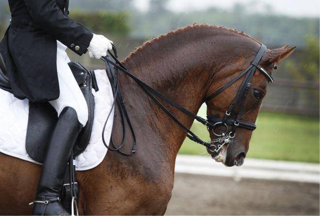 心(售楼处)售楼处电话小区配套价格周边详情容积率楼盘详情开元棋牌试玩象屿天誉蘭香(营销中心)-象屿天誉蘭香销售中(图5) 心(售楼处)售楼处电话小区配套价格周边详情容积率楼盘详情开元棋牌试玩象屿天誉蘭香(营销中心)-象屿天誉蘭香销售中(图5)