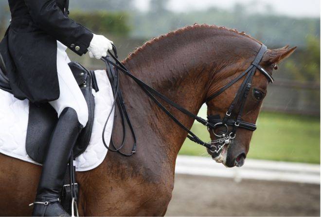 心(售楼处)售楼处电话小区配套价格周边详情容积率楼盘详情开元棋牌试玩象屿天誉蘭香(营销中心)-象屿天誉蘭香销售中(图36) 心(售楼处)售楼处电话小区配套价格周边详情容积率楼盘详情开元棋牌试玩象屿天誉蘭香(营销中心)-象屿天誉蘭香销售中(图36)